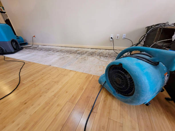 Professional Structural Drying technician working in Weatherford, OK